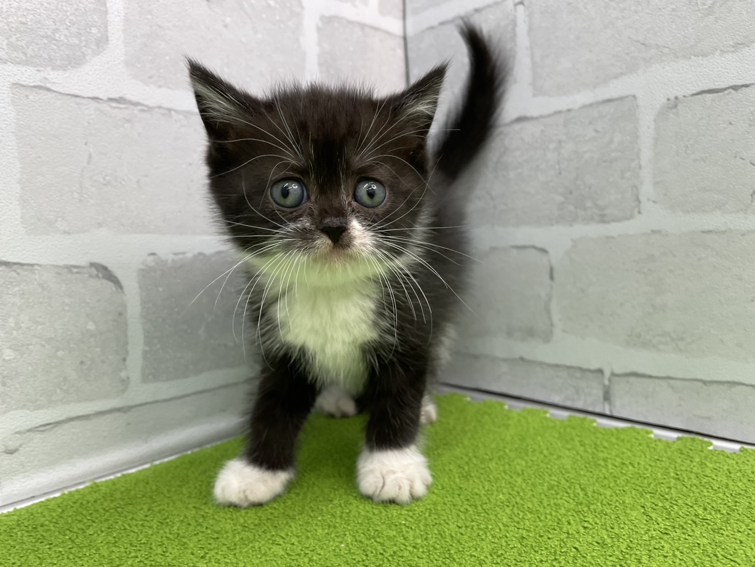 赤ちゃん写真3-1