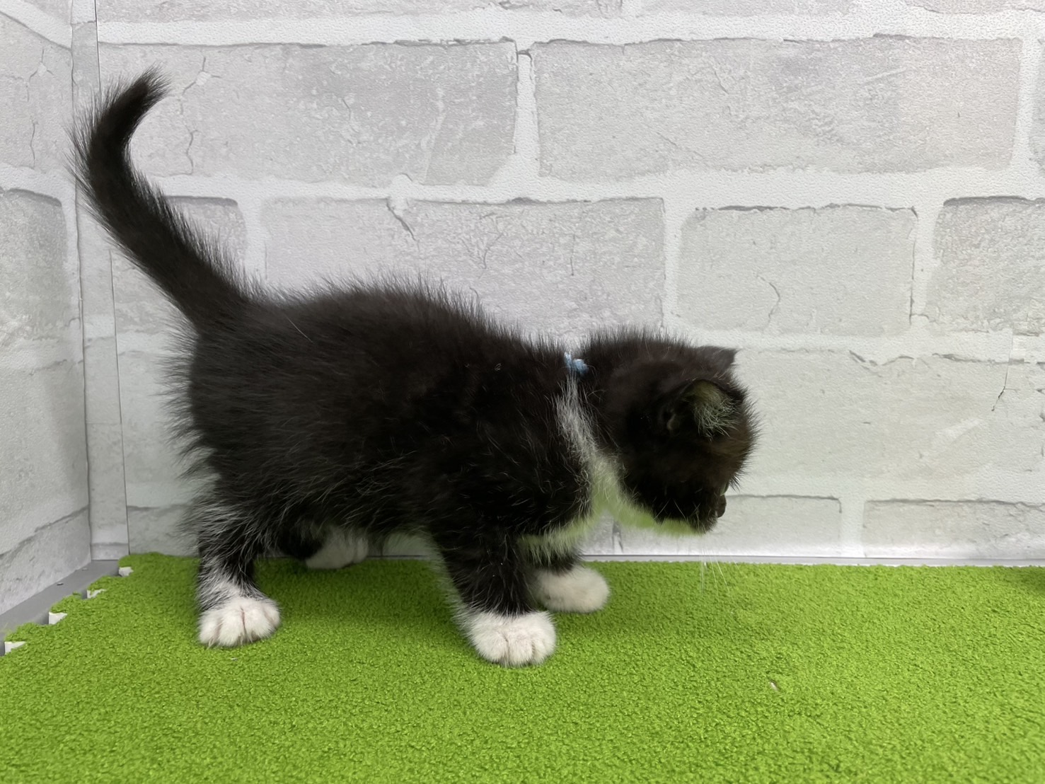 赤ちゃん写真3-2