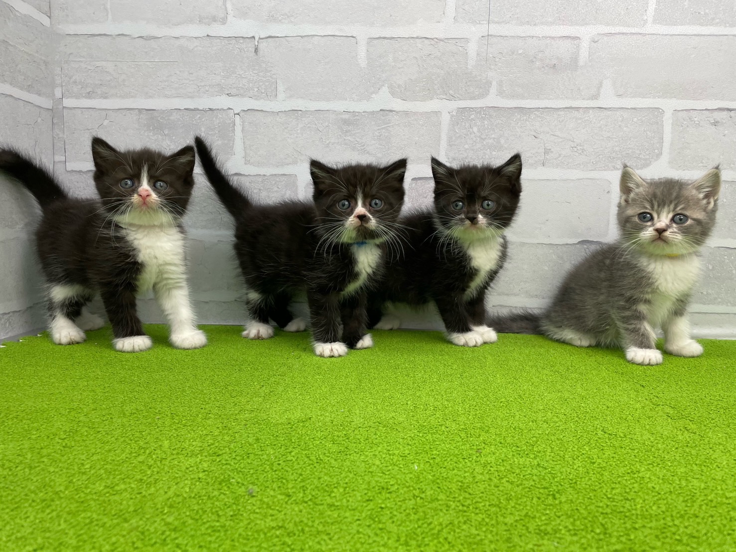 赤ちゃん写真3-3