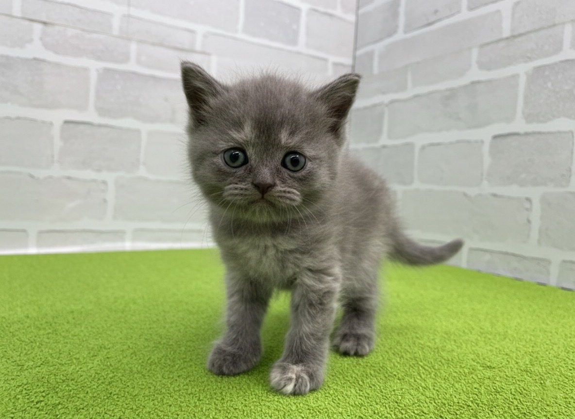 赤ちゃん写真2-1