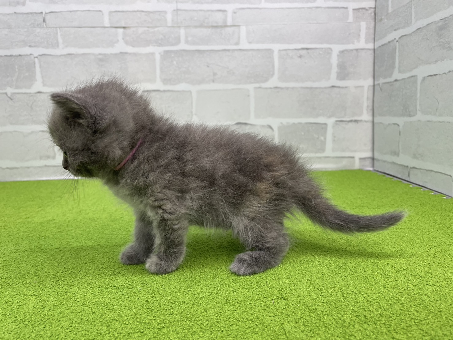 赤ちゃん写真2-2