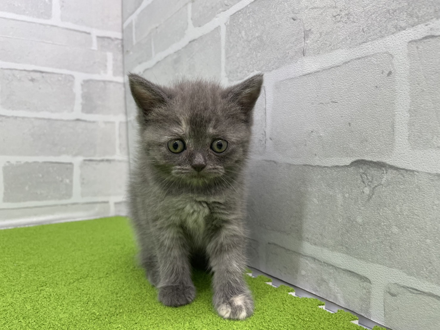 赤ちゃん写真3-1