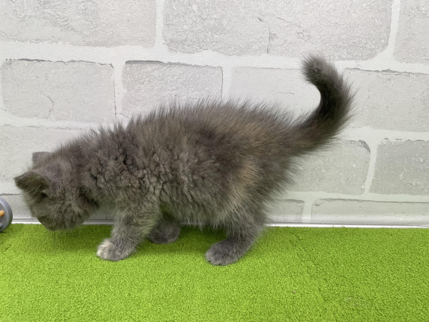 赤ちゃん写真3-2