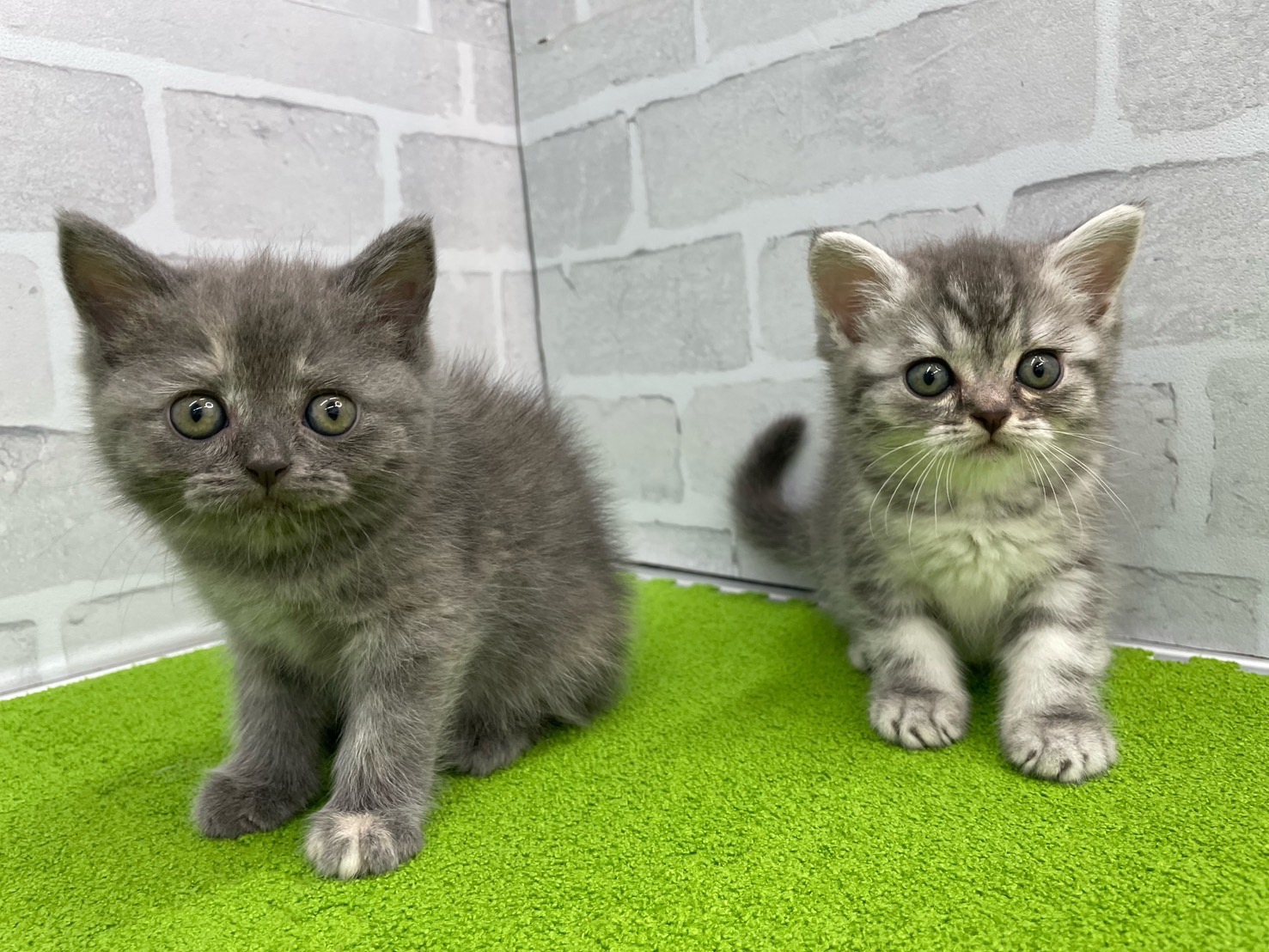 赤ちゃん写真3-3