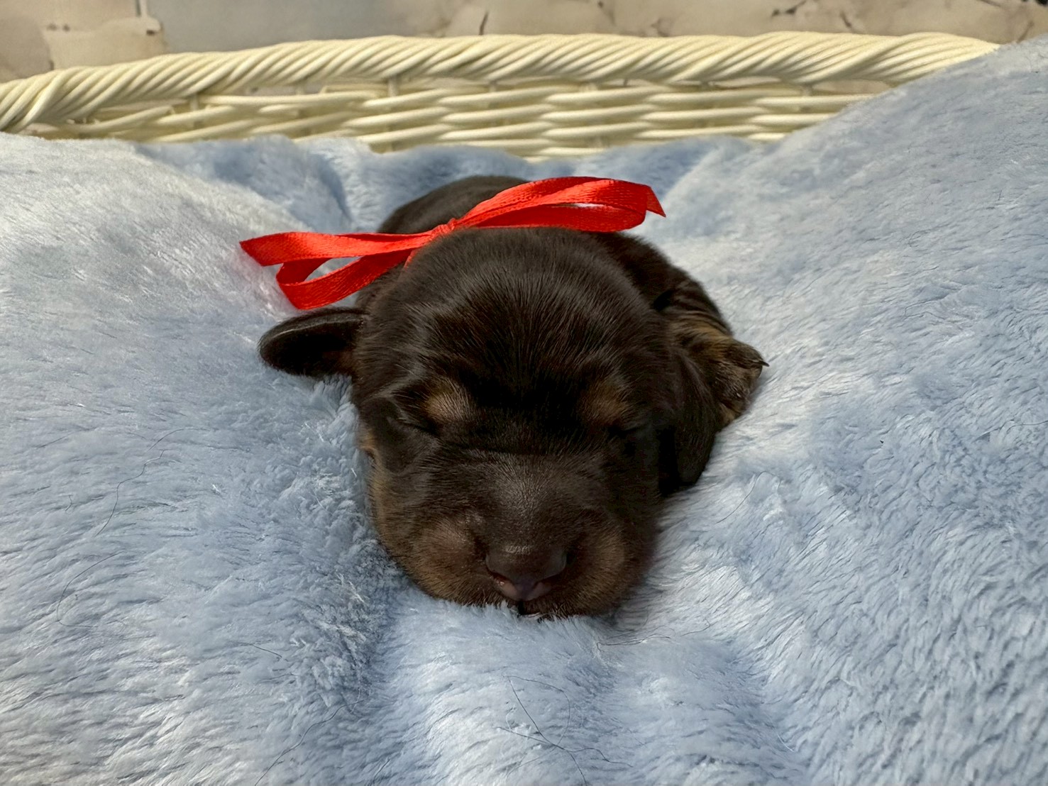 赤ちゃん写真1-1