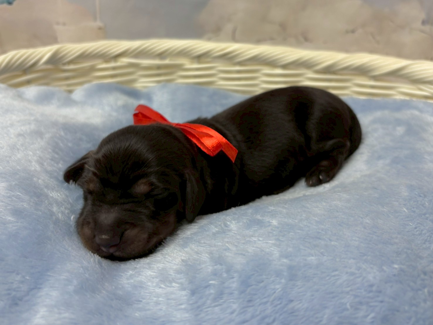 赤ちゃん写真1-2