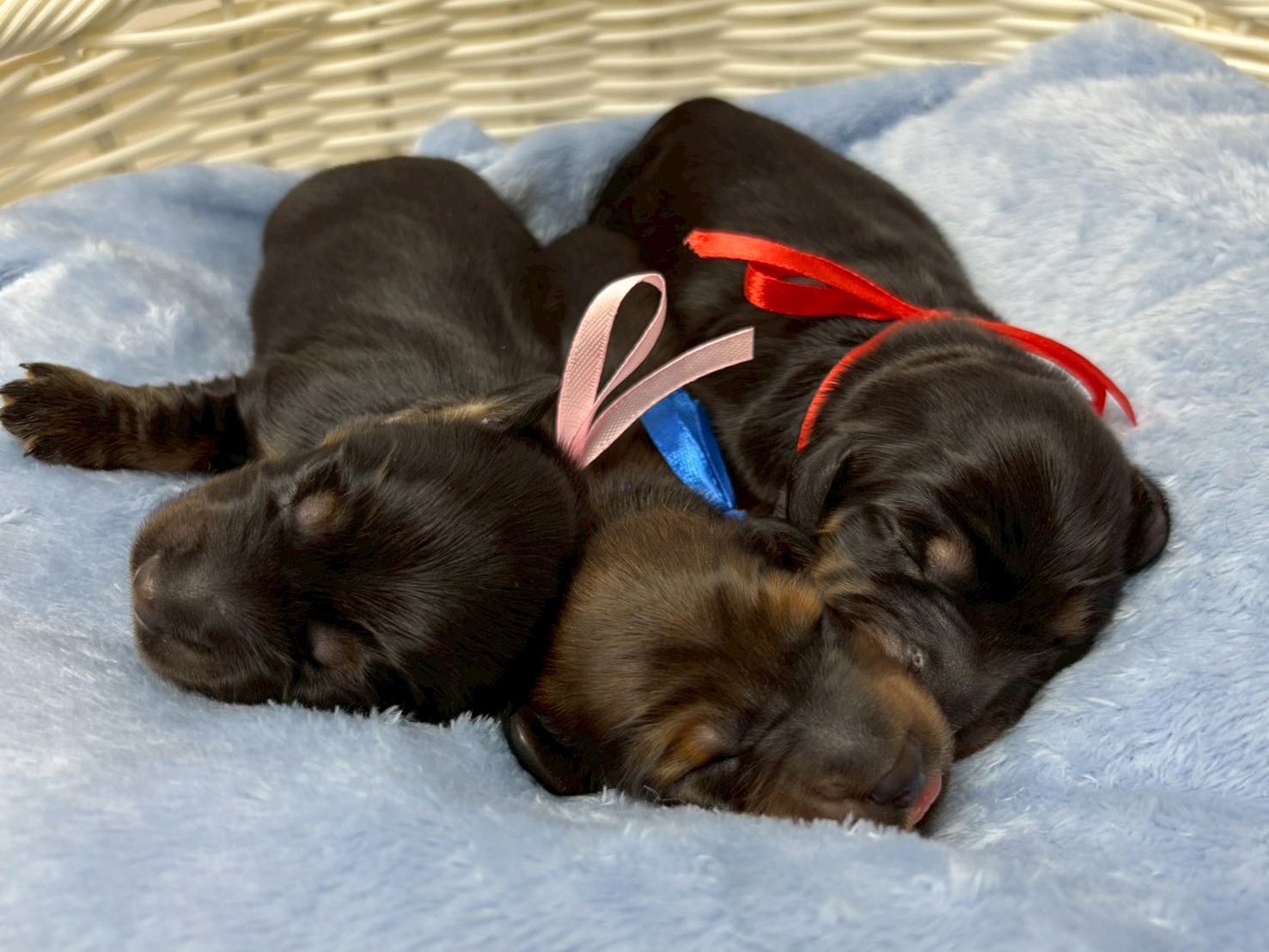 赤ちゃん写真1-3