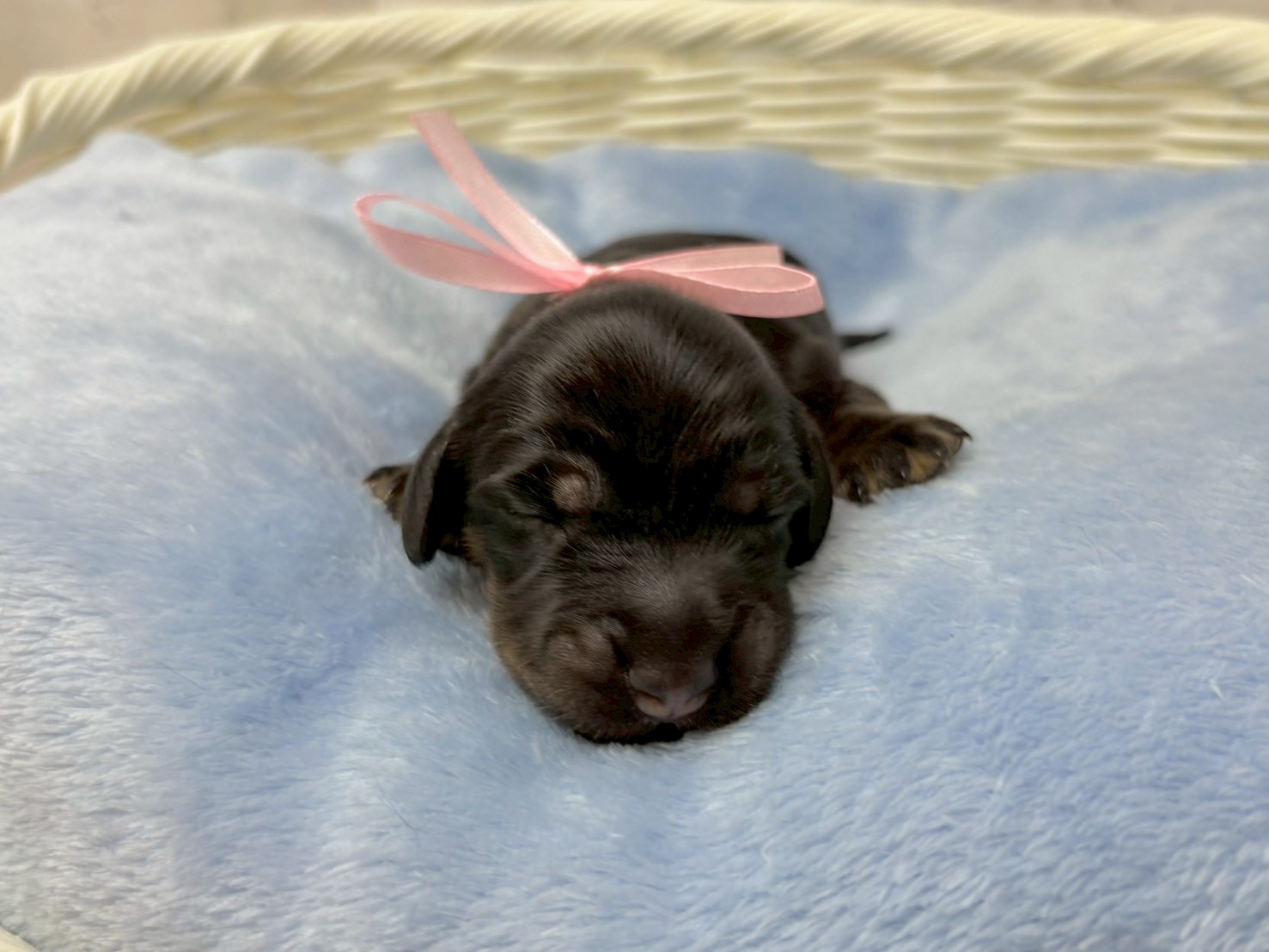 赤ちゃん写真1-1