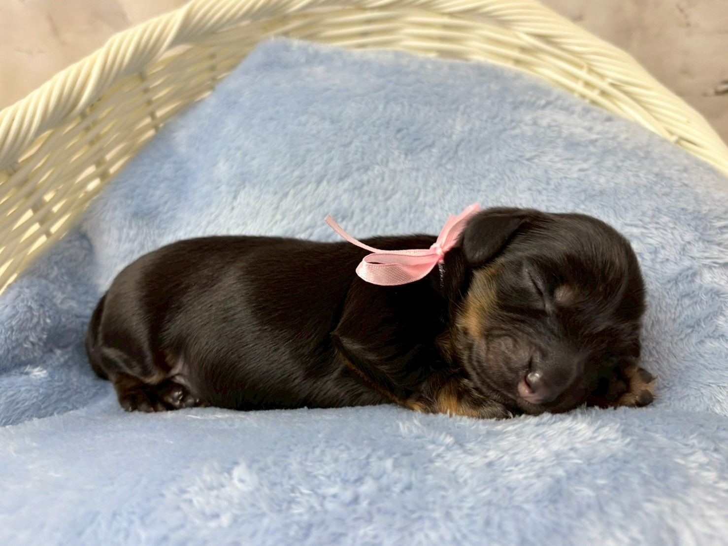 赤ちゃん写真1-2