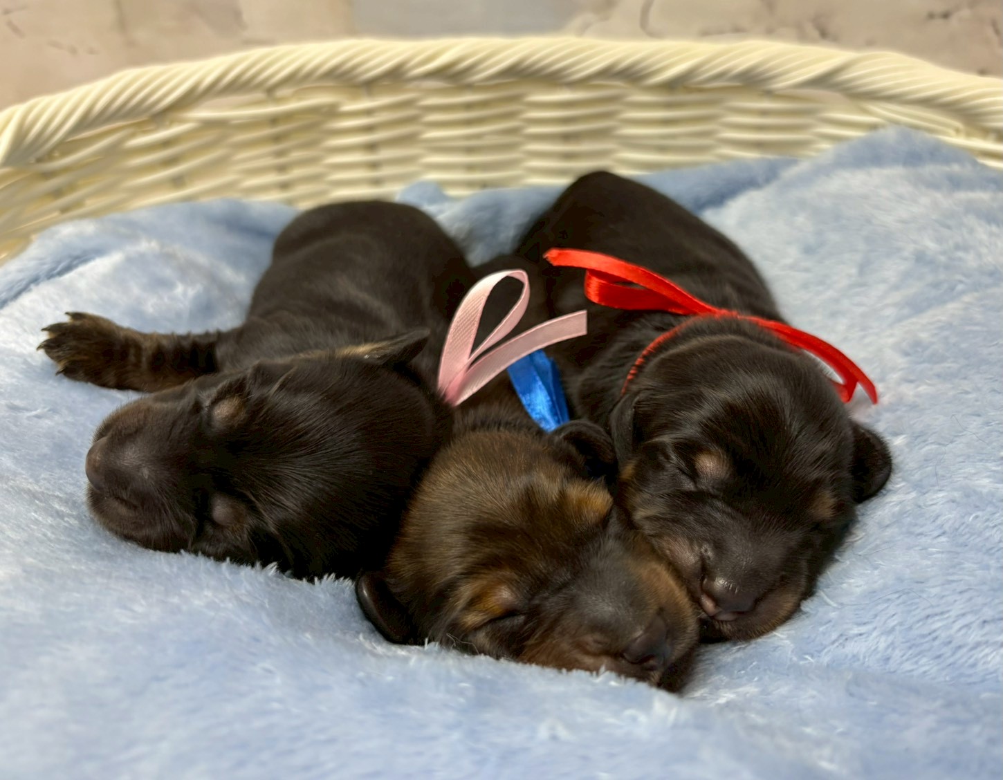 赤ちゃん写真1-3