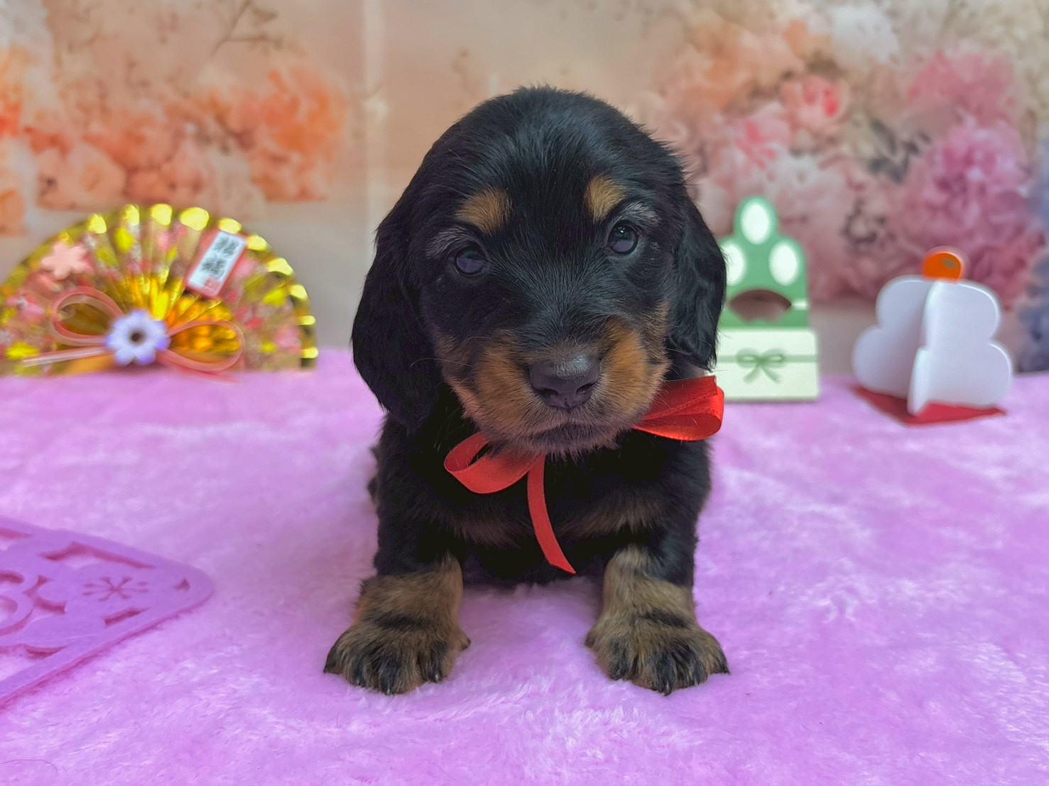 赤ちゃん写真2-1