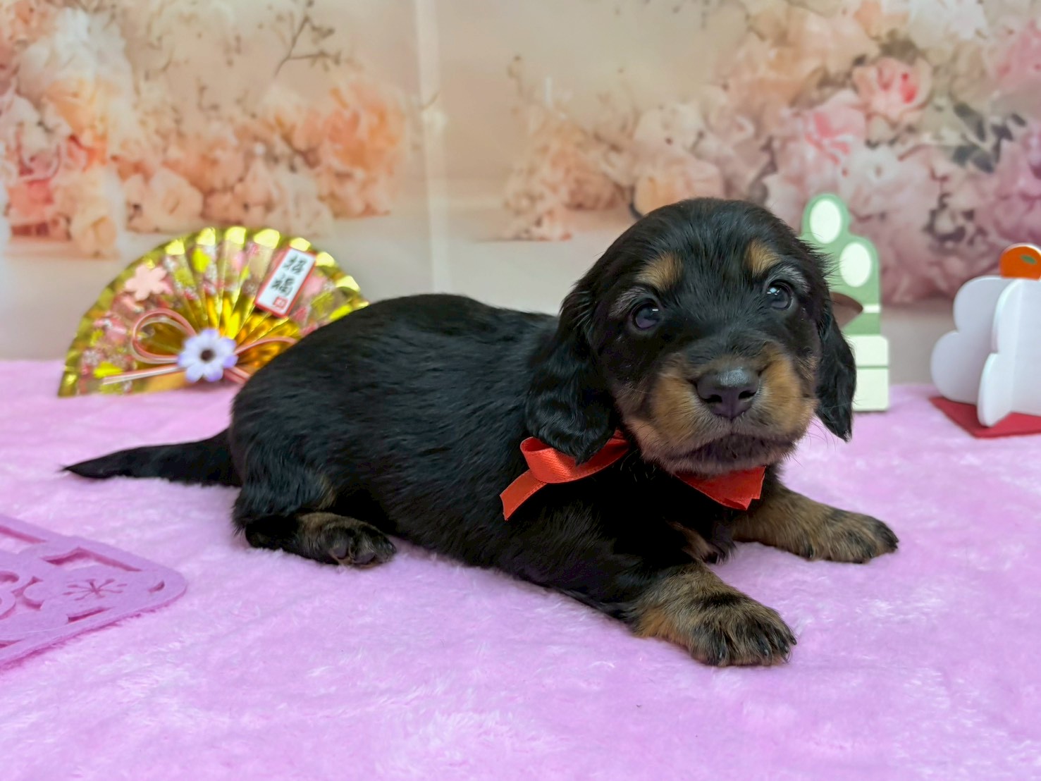 赤ちゃん写真2-2