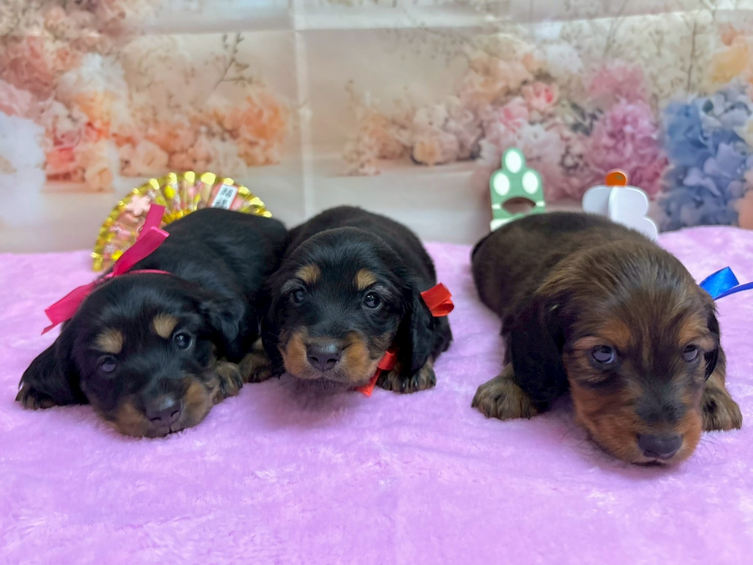 赤ちゃん写真2-3