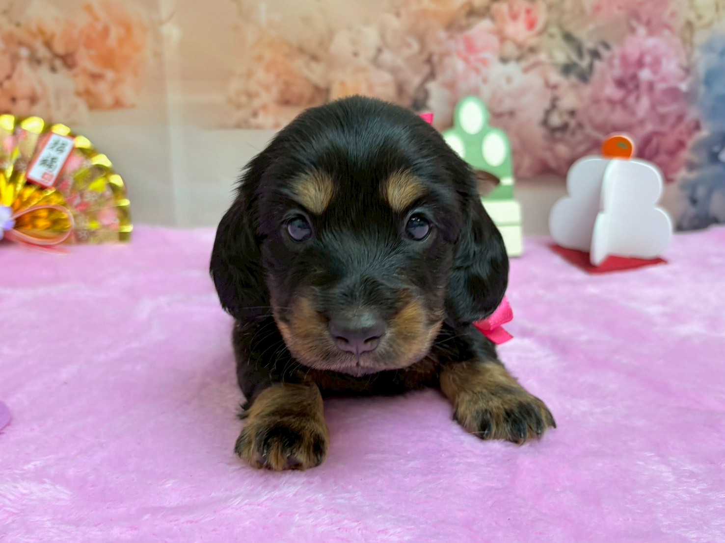 赤ちゃん写真2-1