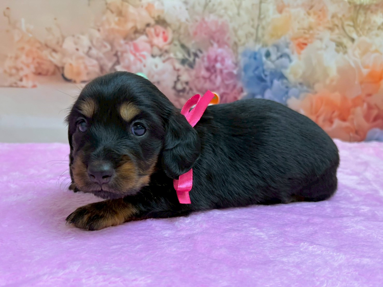 赤ちゃん写真2-2