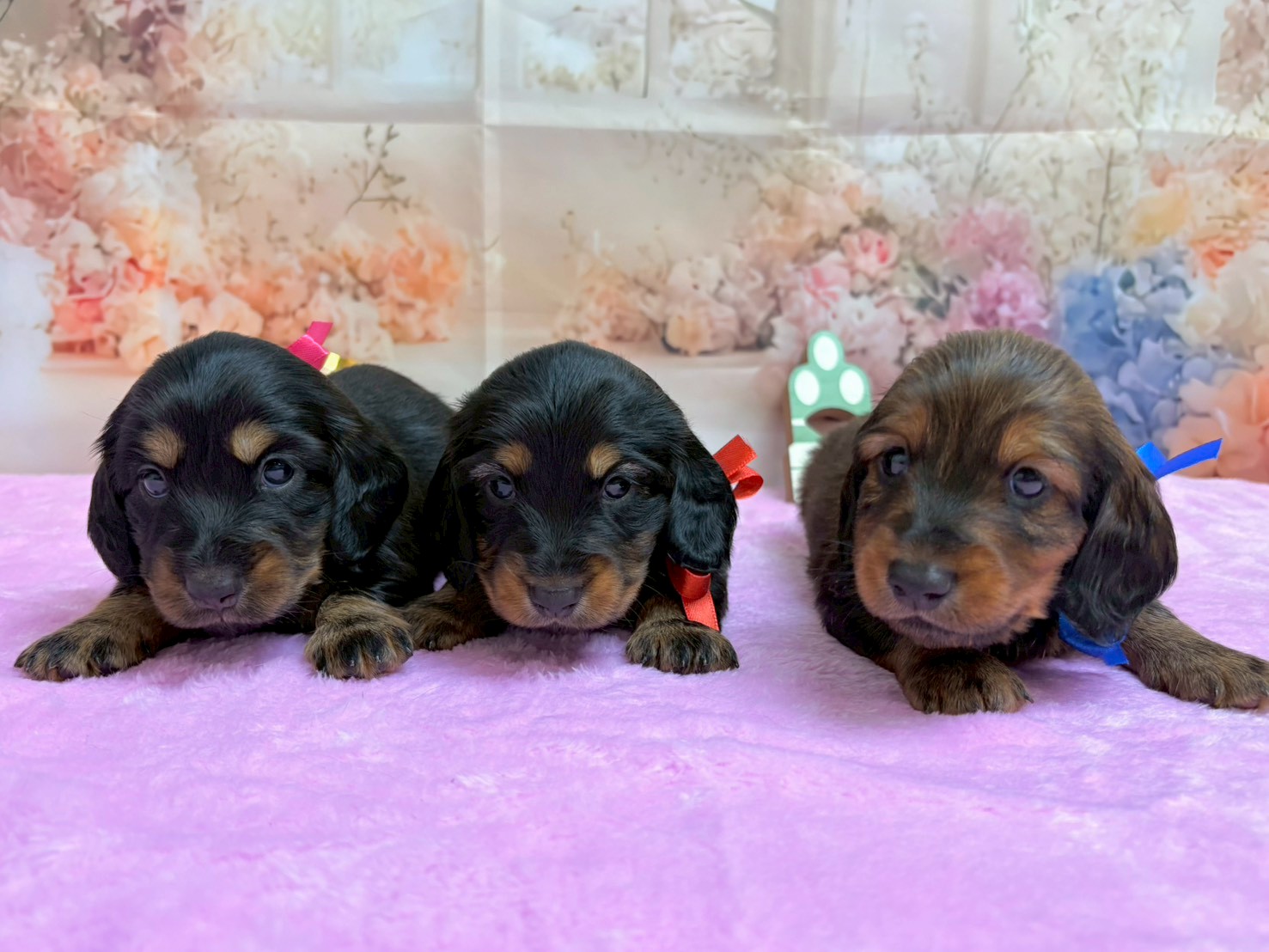 赤ちゃん写真2-3