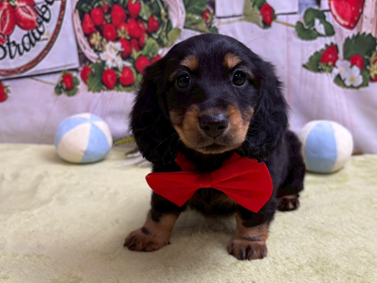 赤ちゃん写真3-1