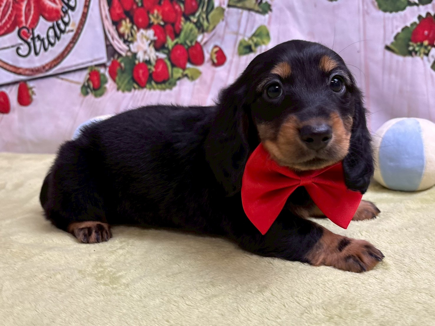 赤ちゃん写真3-2