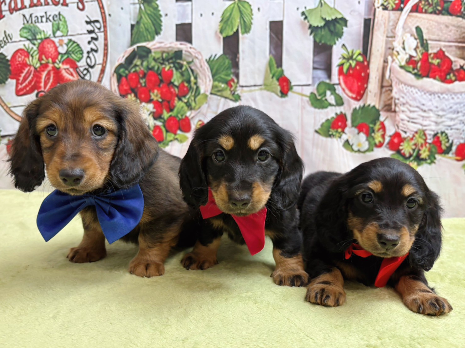 赤ちゃん写真3-3