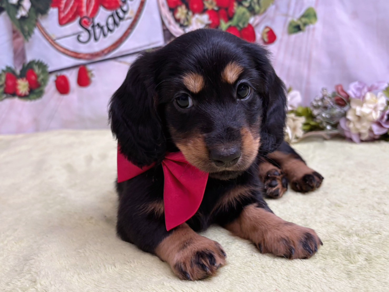 赤ちゃん写真3-1