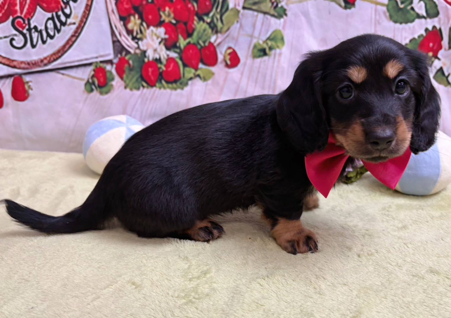 赤ちゃん写真3-2