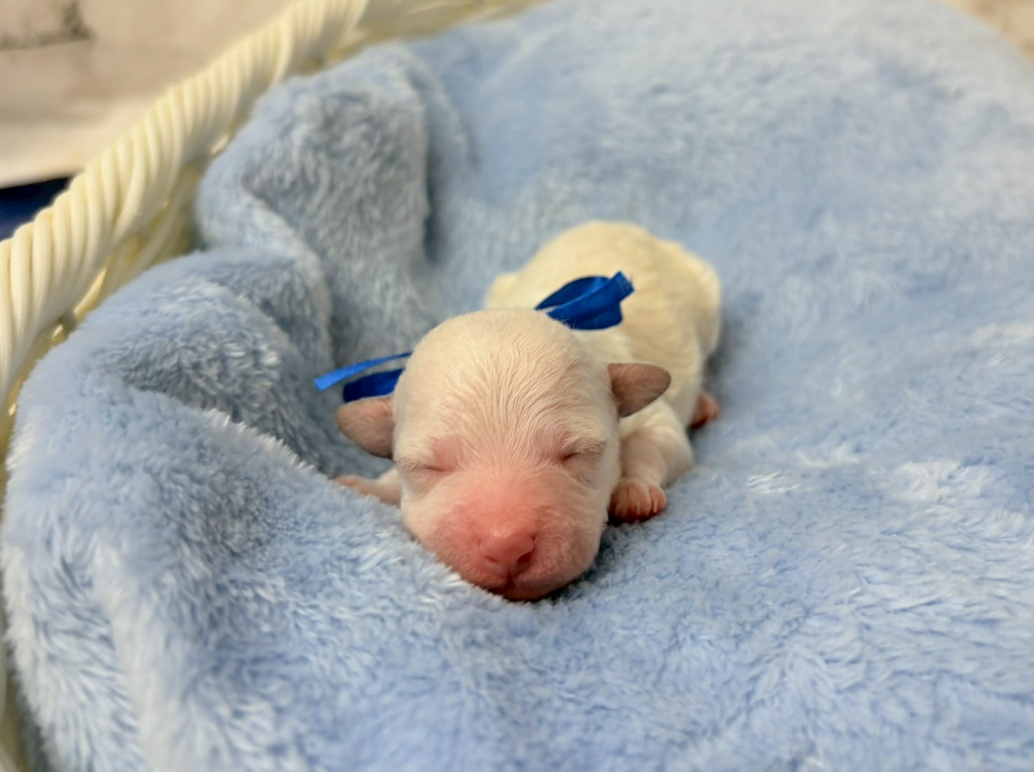 赤ちゃん写真1-1