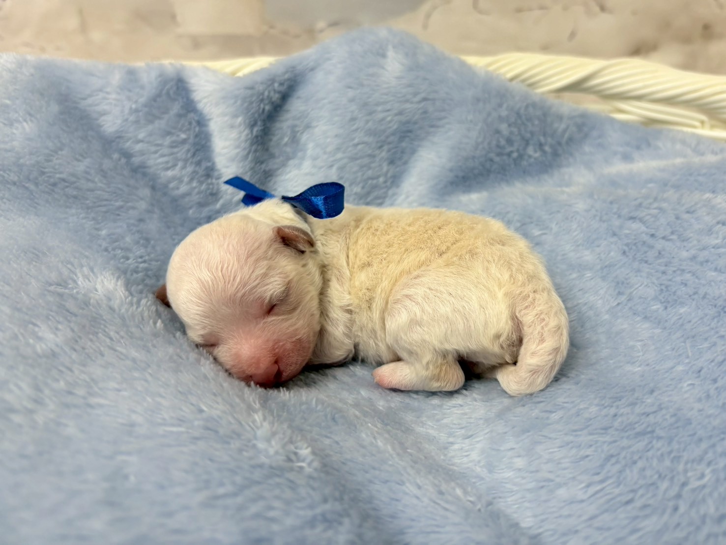 赤ちゃん写真1-2