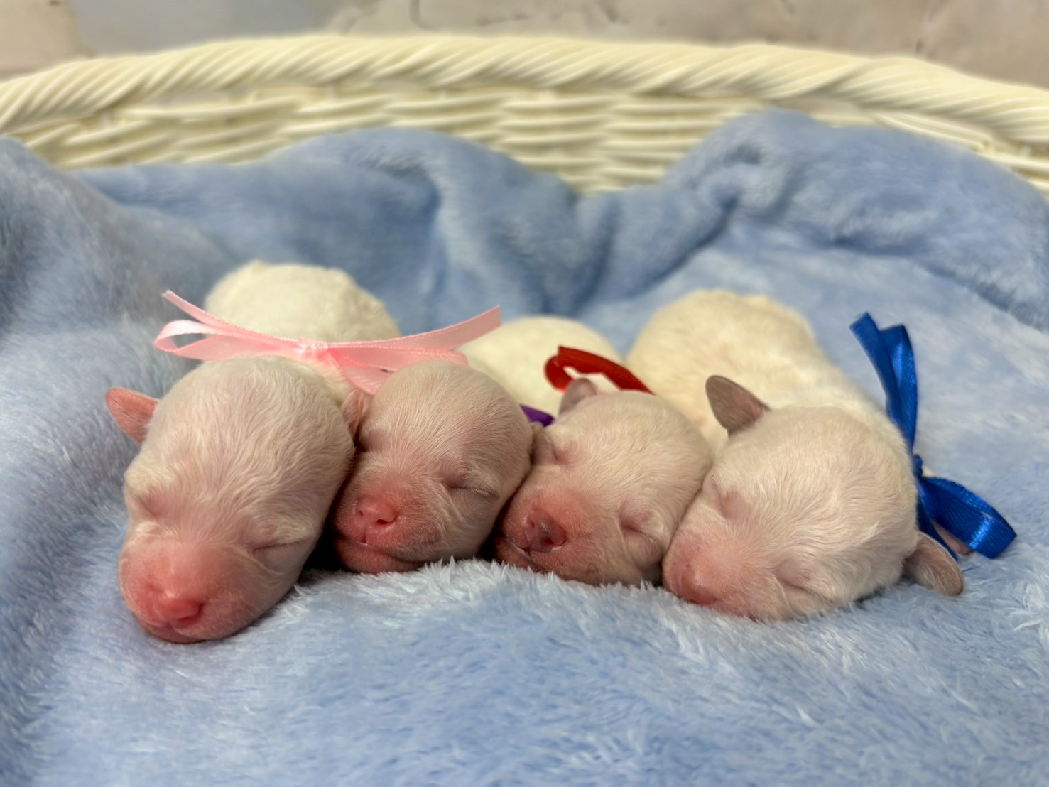 赤ちゃん写真1-3