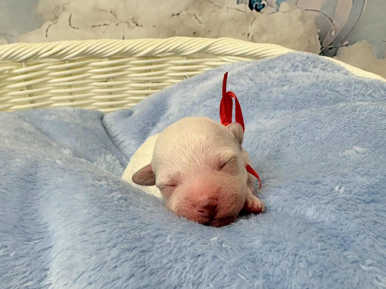 赤ちゃん写真1-1