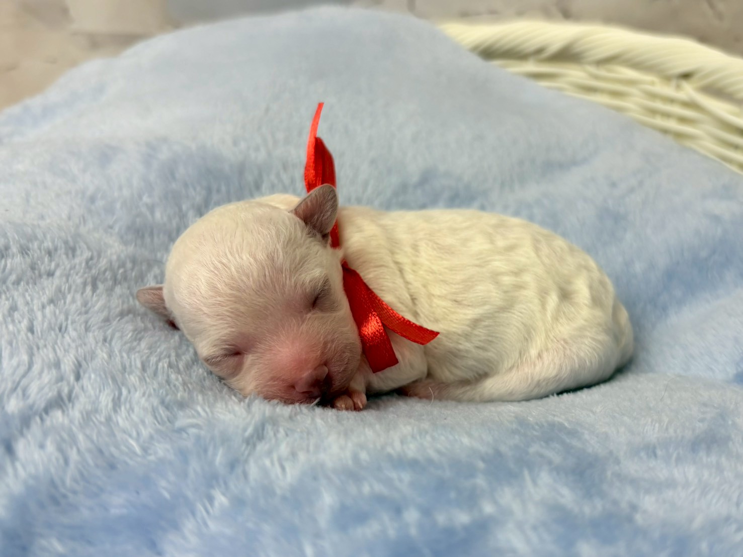 赤ちゃん写真1-2