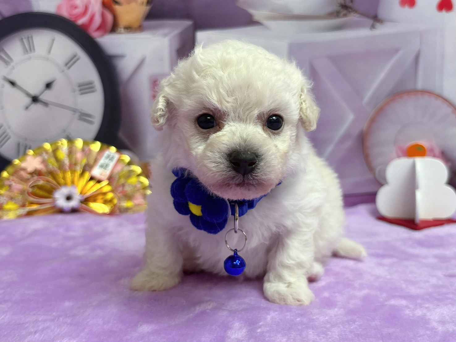 赤ちゃん写真2-1