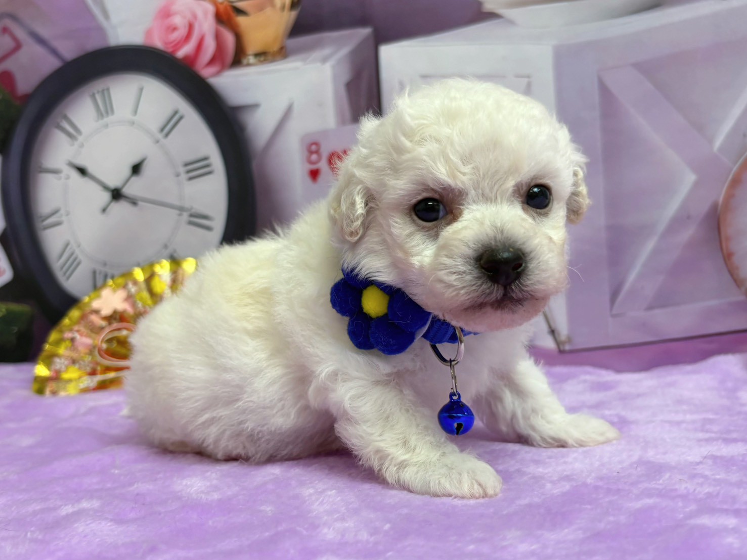 赤ちゃん写真2-2