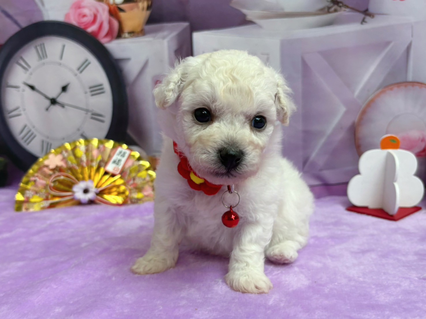 赤ちゃん写真2-1