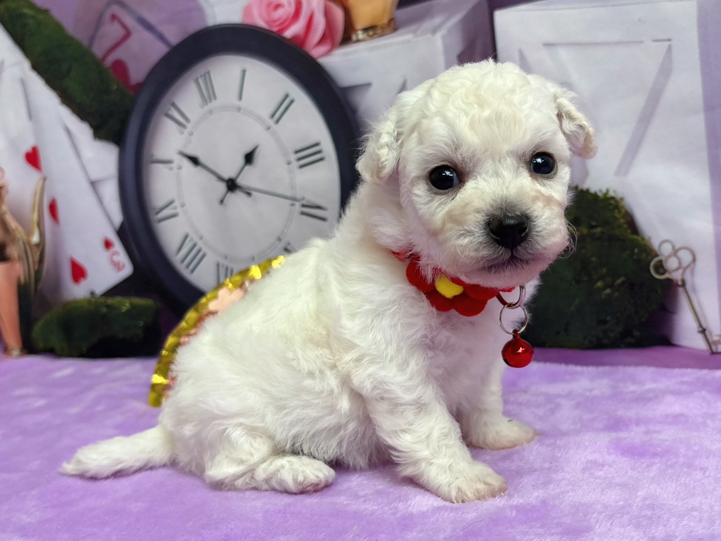 赤ちゃん写真2-2