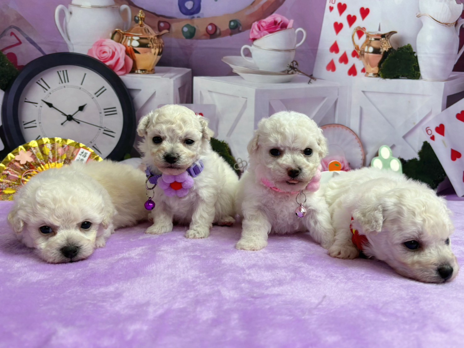 赤ちゃん写真2-3