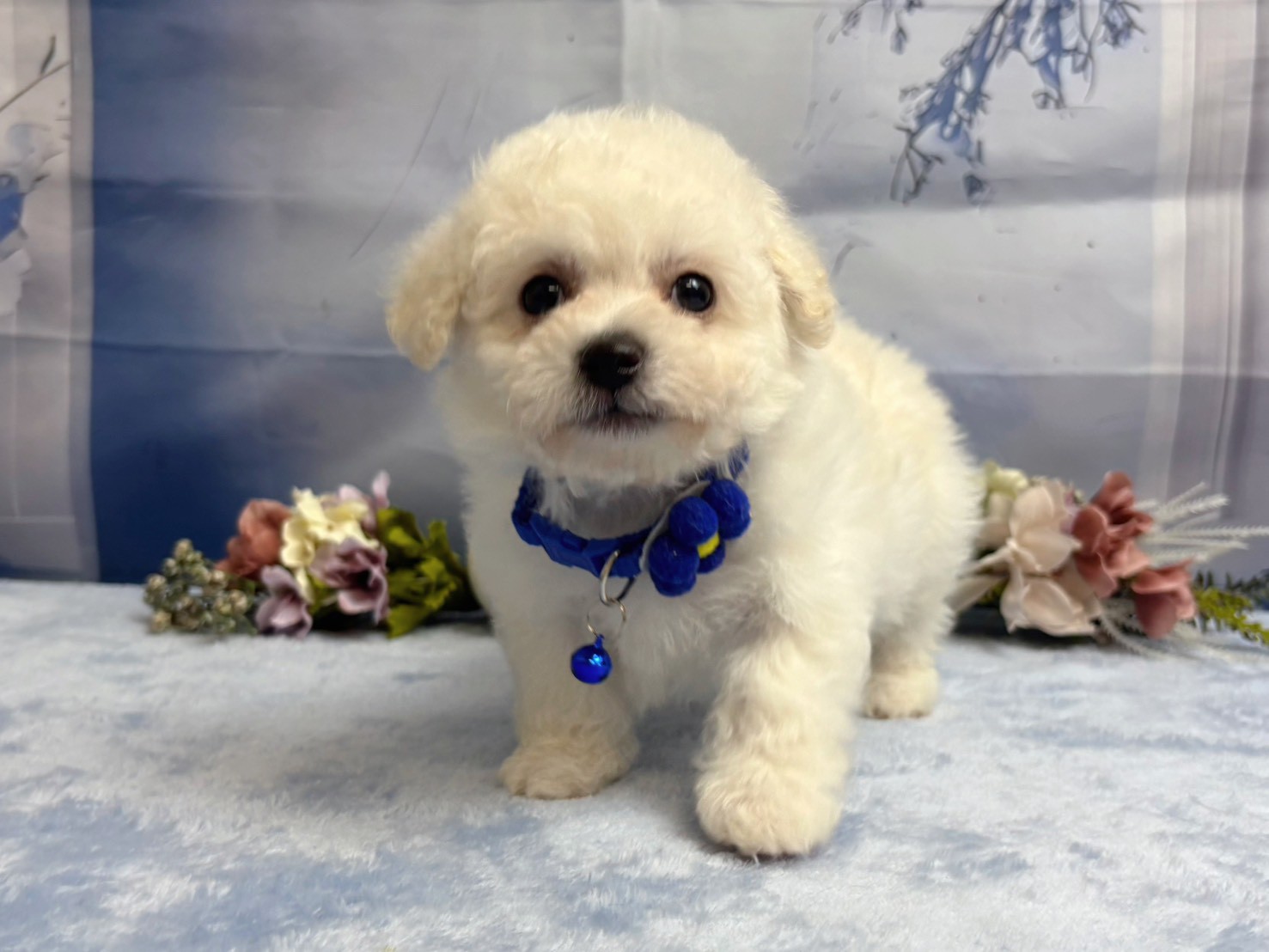 赤ちゃん写真3-1