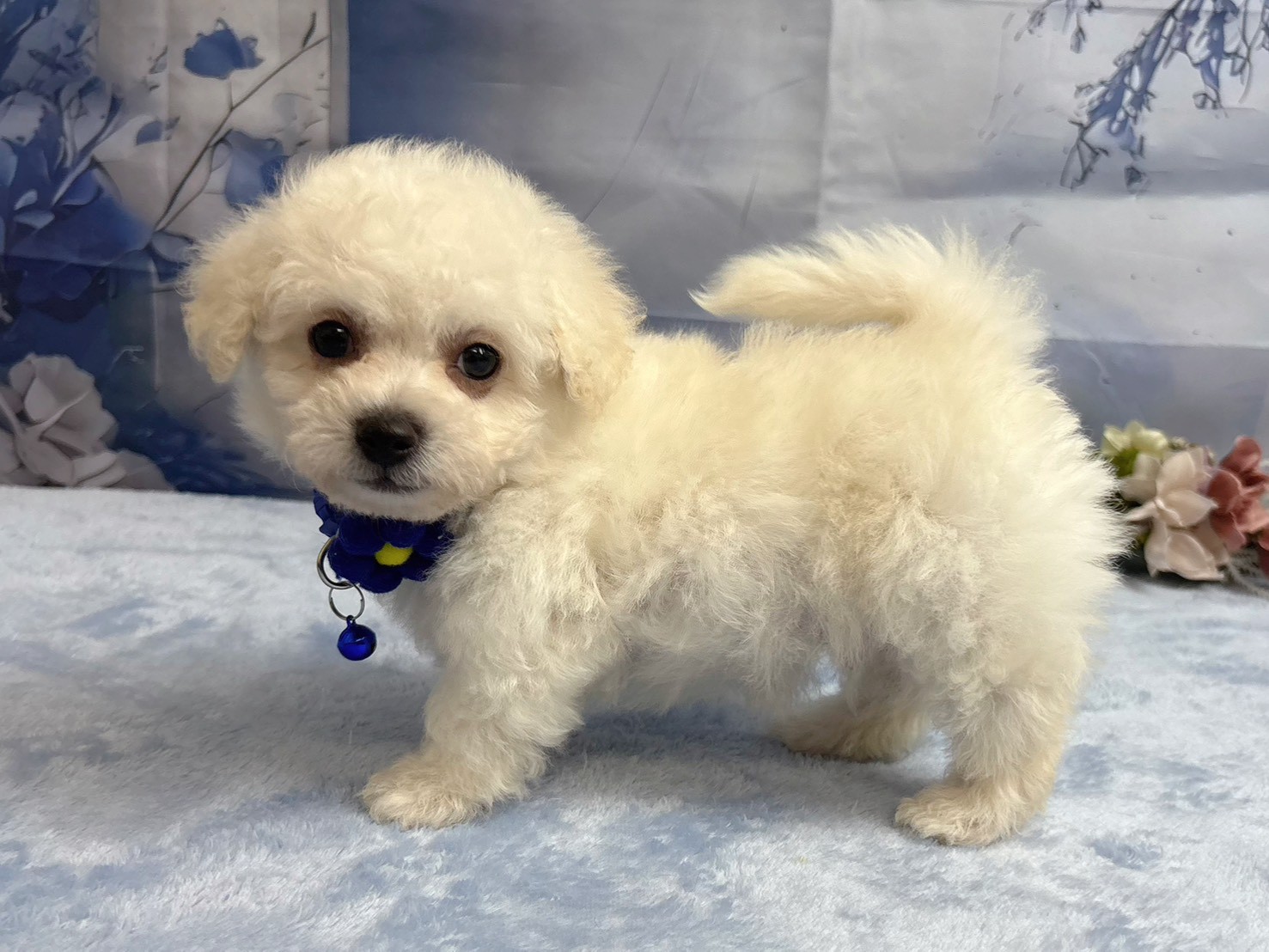 赤ちゃん写真3-2