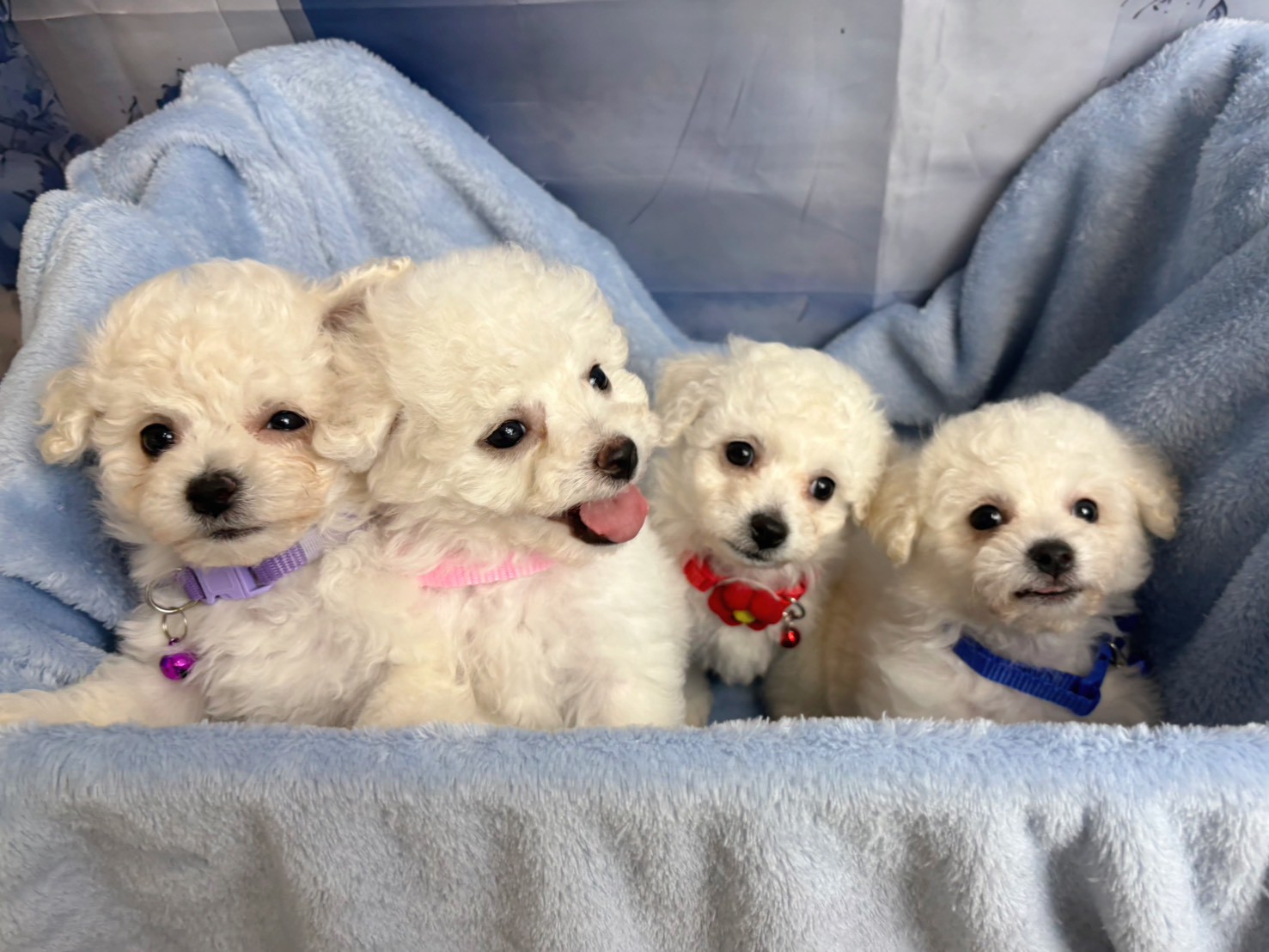 赤ちゃん写真3-3