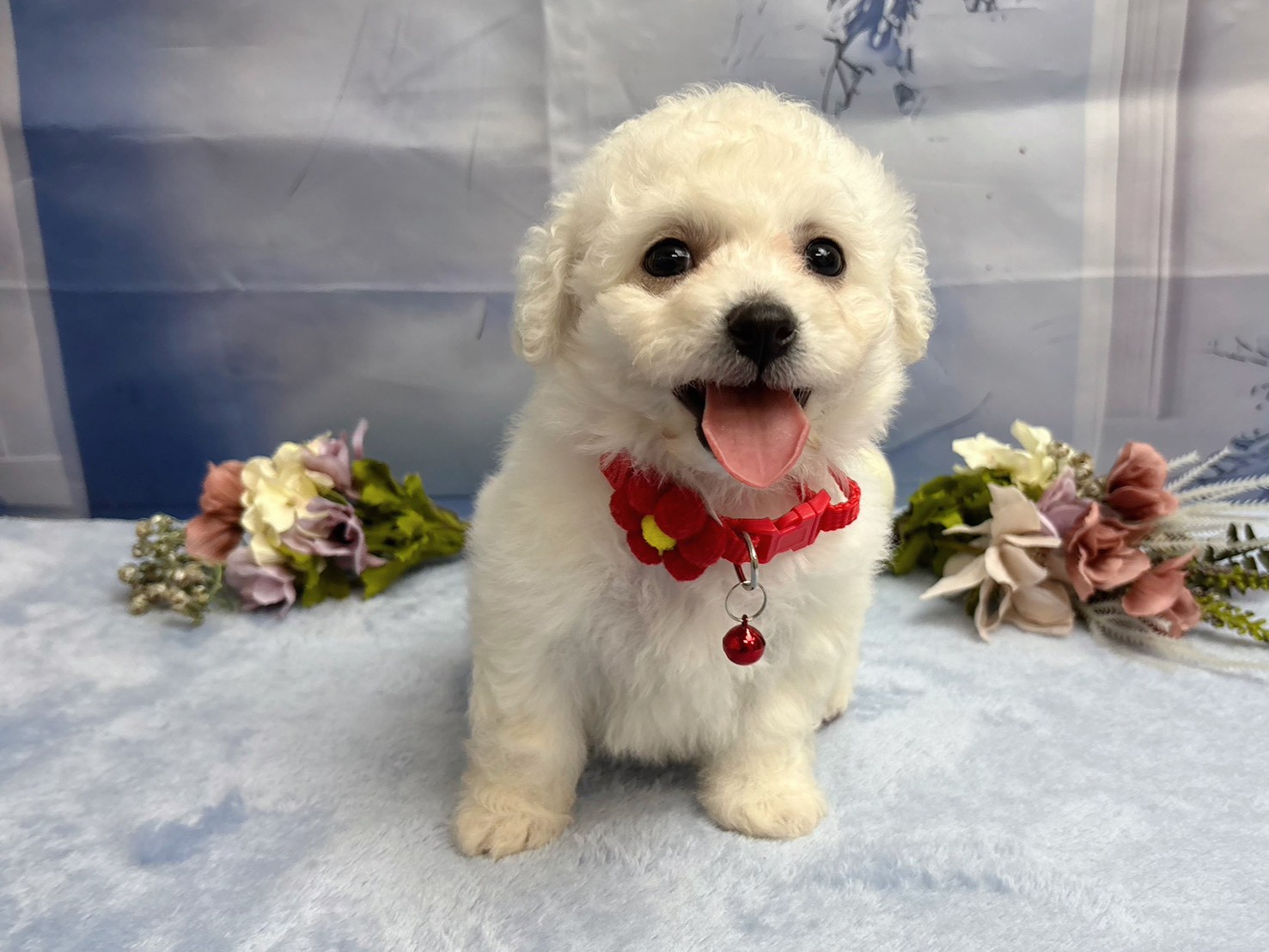 赤ちゃん写真3-1