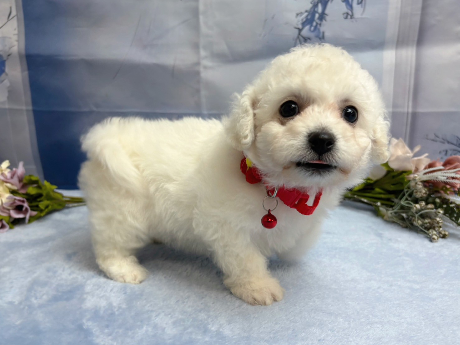 赤ちゃん写真3-2