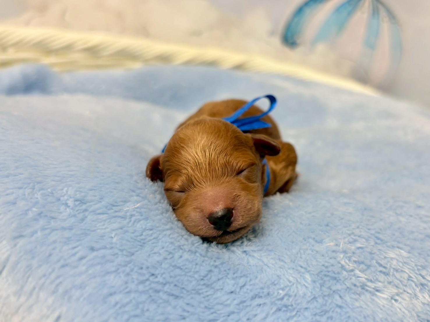 赤ちゃん写真1-1