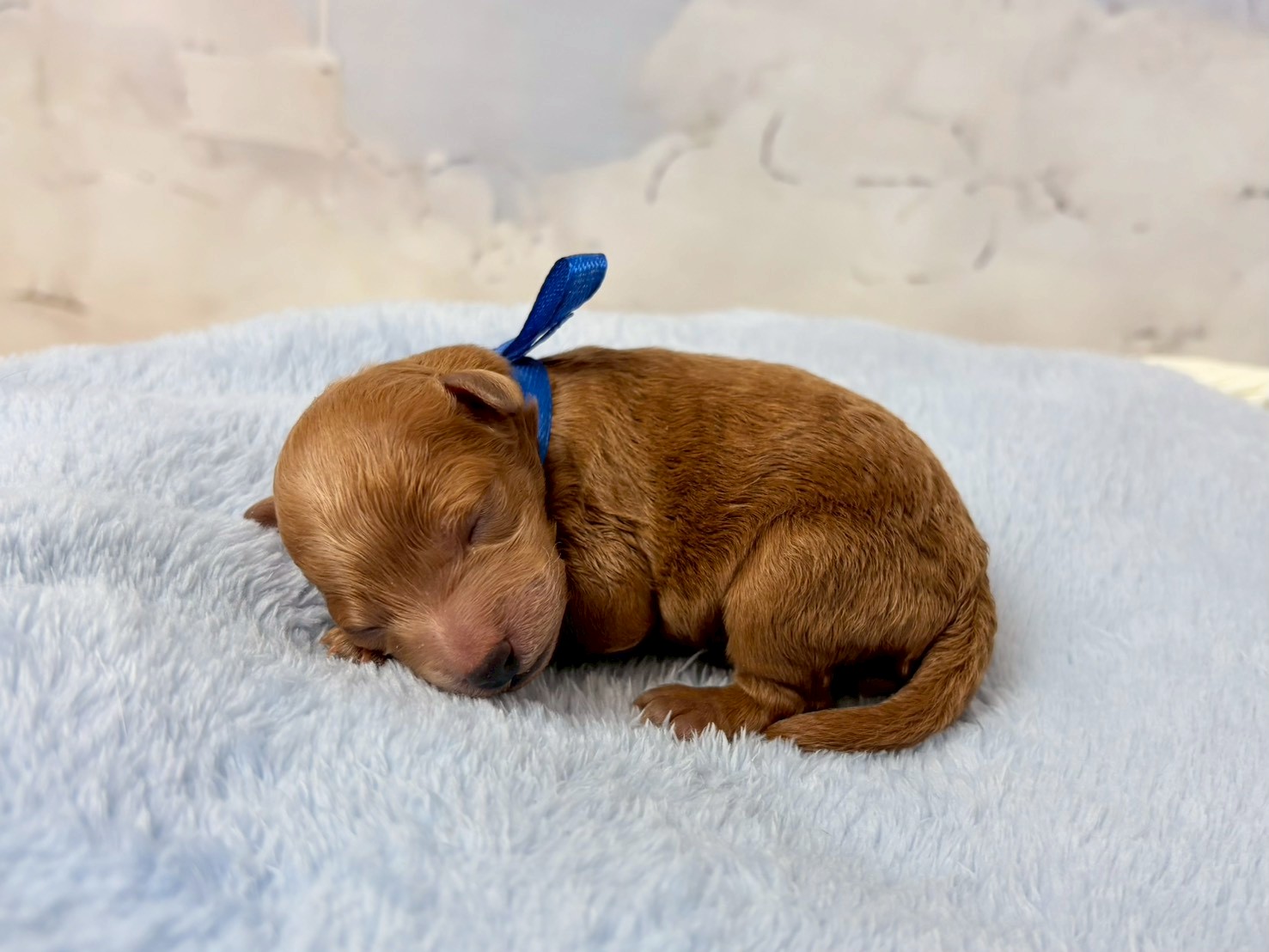 赤ちゃん写真1-2