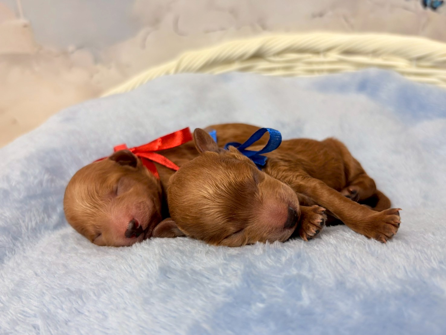 赤ちゃん写真1-3