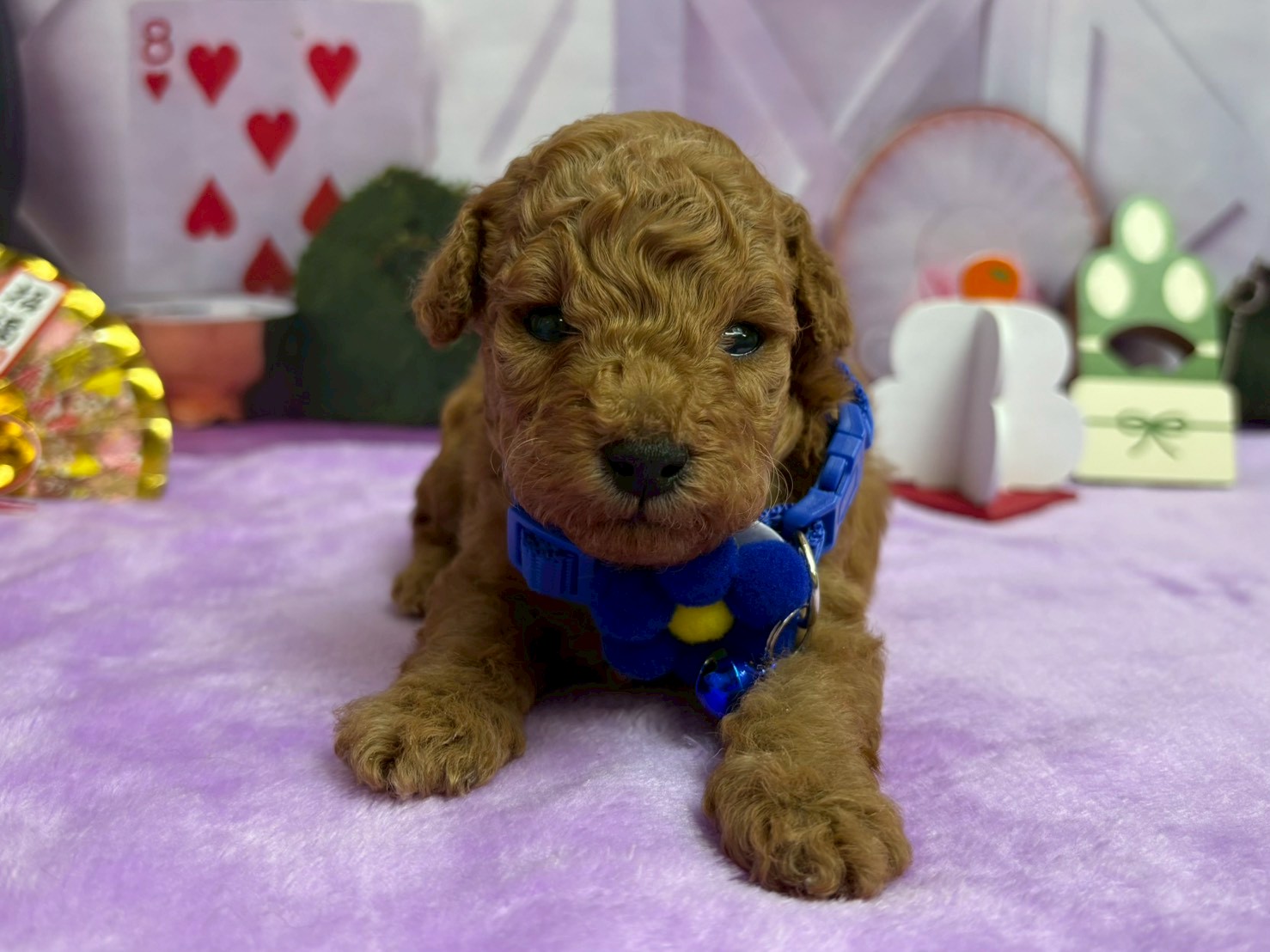 赤ちゃん写真2-1