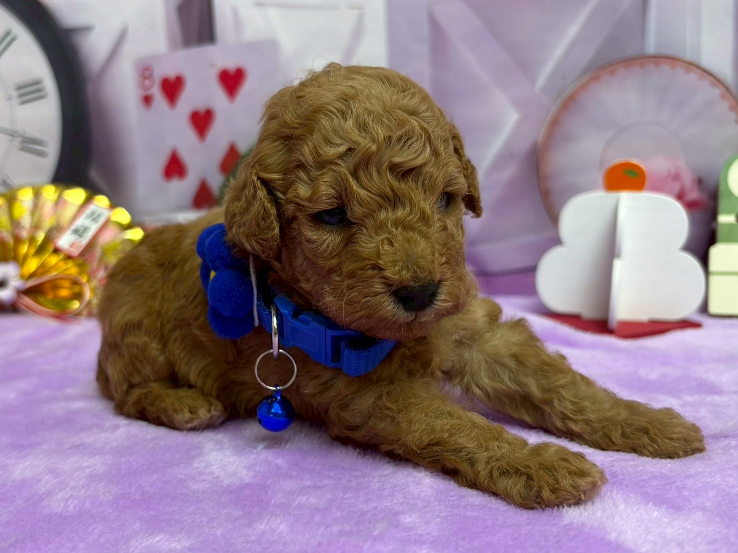 赤ちゃん写真2-2