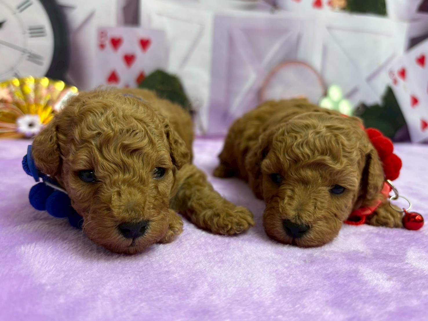 赤ちゃん写真2-3