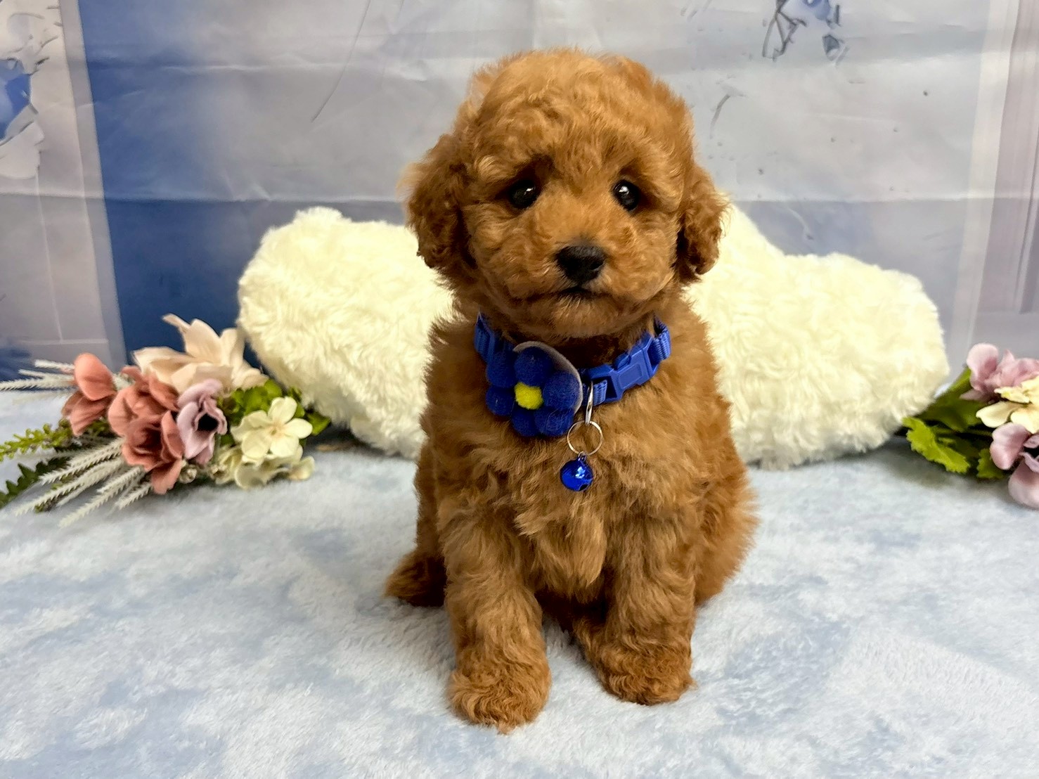 赤ちゃん写真3-1