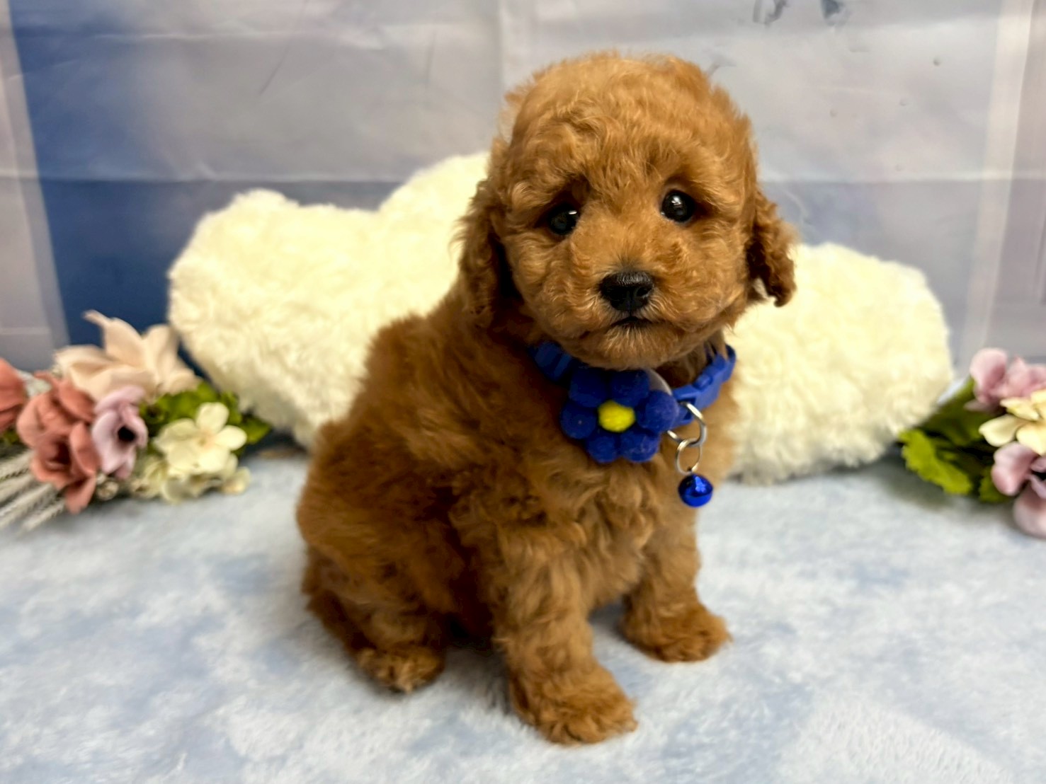 赤ちゃん写真3-2