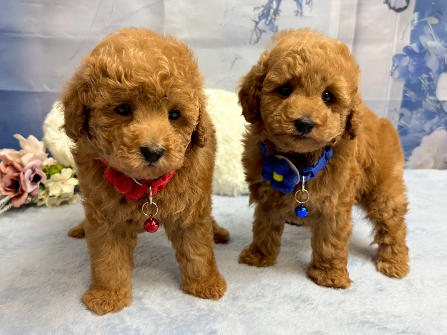 赤ちゃん写真3-3