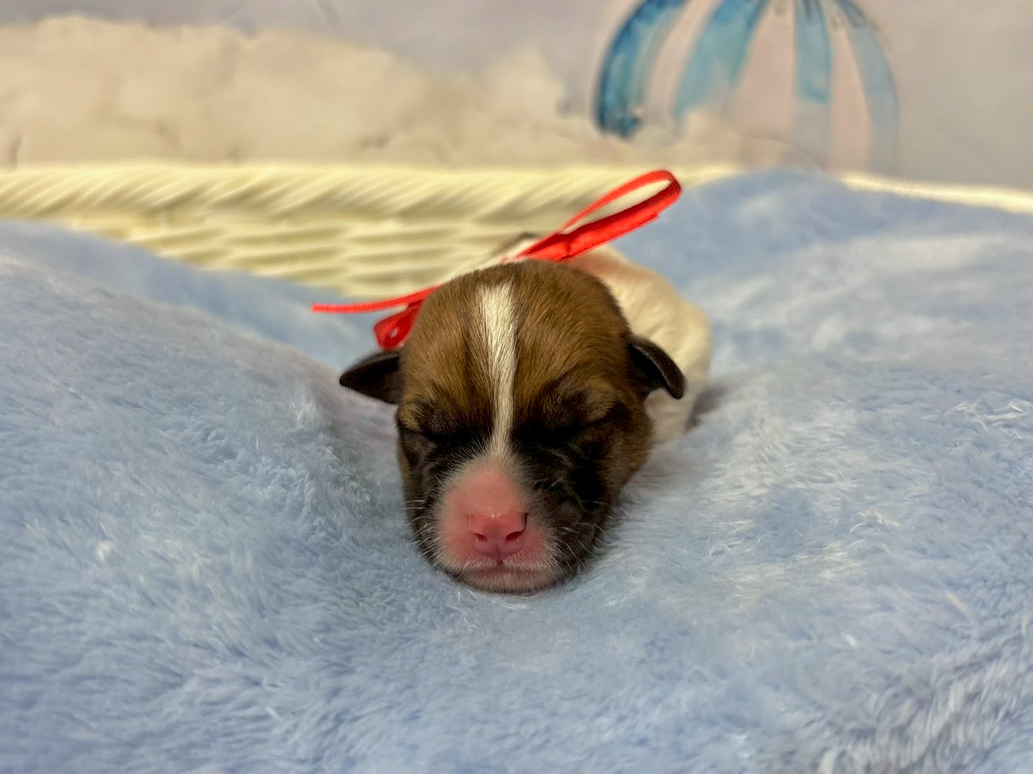 赤ちゃん写真1-1